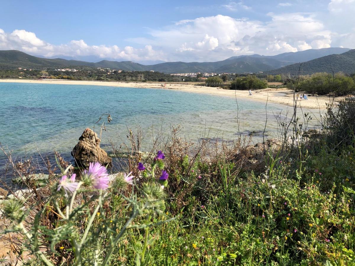 Villa A 900 M De La Plage De Lozari Belgodère المظهر الخارجي الصورة